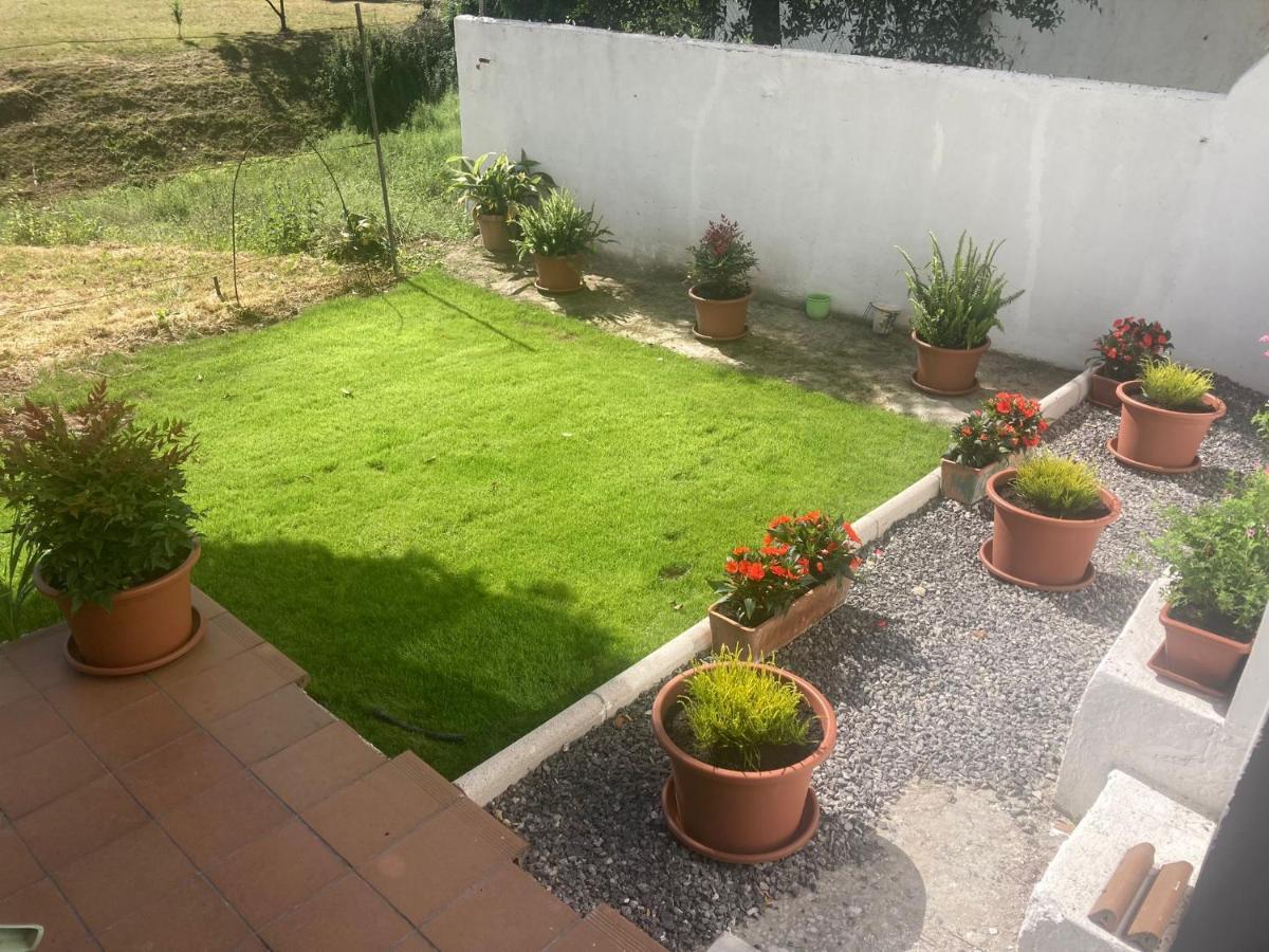 Apartamento Con Jardin En El Oviedo Antiguo Exterior photo